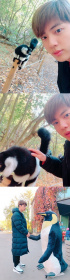 Jin、Twitterの写真が話題