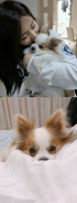 TWICEツウィ、愛犬グッチとの2ショットを公開