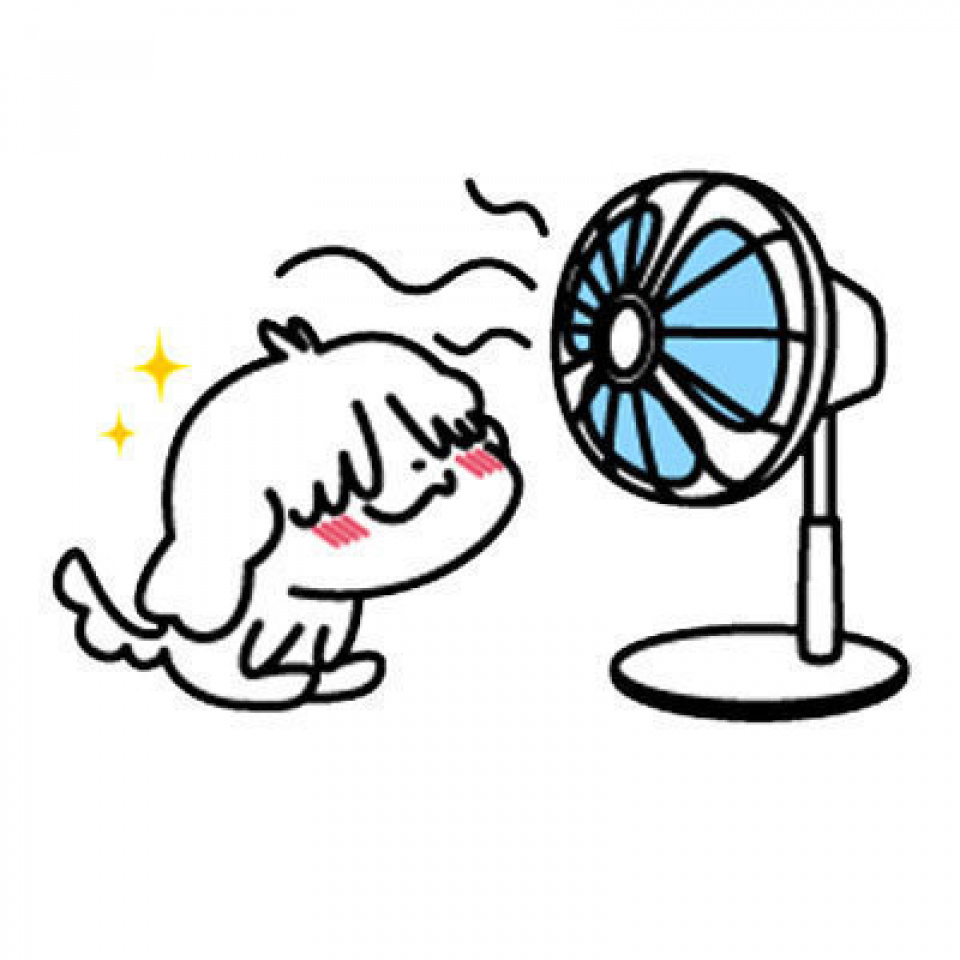 【お盆特別企画】夏に聴きたいK-POPソングは？