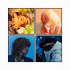 BIGBANG、「春夏秋冬（Still Life）」4月音源チャートを席巻