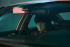 『運の良い日』ユ・ヨンソク、制作発表会に出席…「悪辣な悪役は初めて」