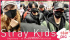 Stray Kids 「今回のスケジュールもファイティン！」