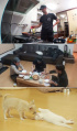 『三食ごはん～漁村編』、最後の晩餐…最後の放送