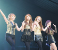 Kiss(KOREAN INTERNATIONAL STYLE SHOW)1月27日【Secret】